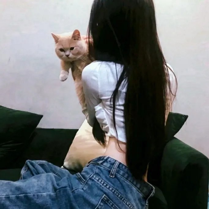 血界战线第二季